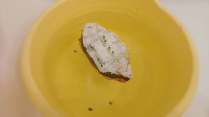 Затопил мини Титаник