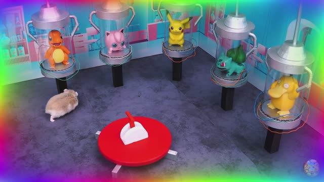 Приключение отважного хомячка, побег из лабиринта! часть 2