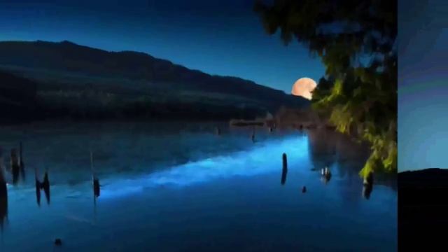 Ивн Бунин. Несколько стихотворений читает П. Дубинский