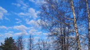 MOV_20260418_073449_236.mp4