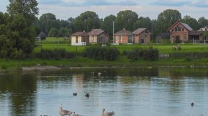 Звук природы. Птицы. Камышовка австралийская летним утром в деревне