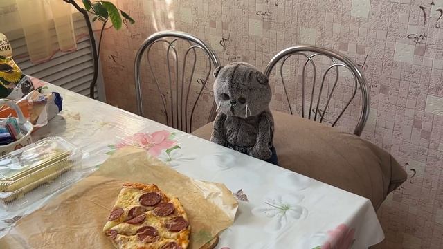 УТРО С КОТАМИ БАСИКАМИ