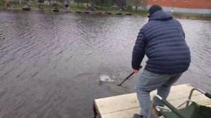 Светлые Горы Форель20 18.04.2026г.