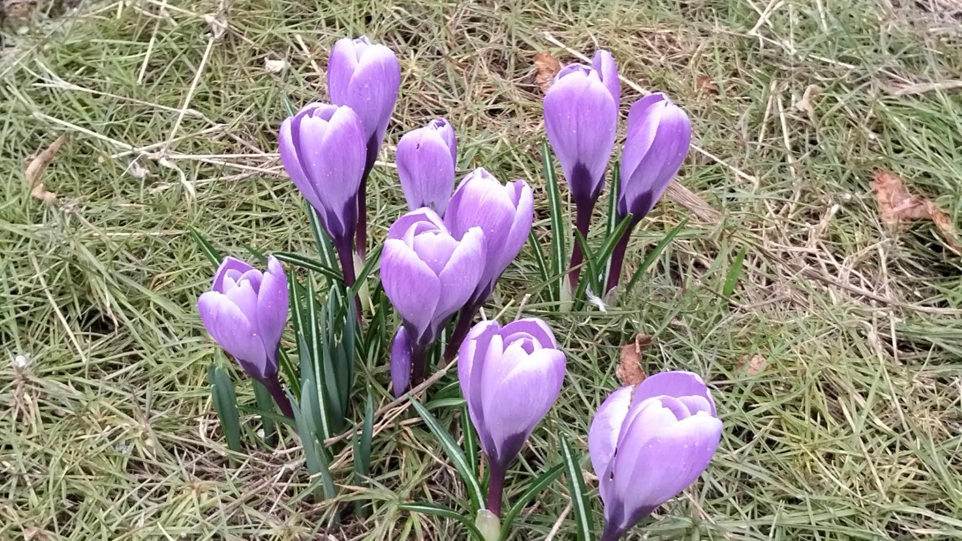 Этюд в тонах завтрака.