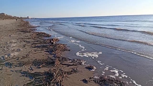 На Белом море