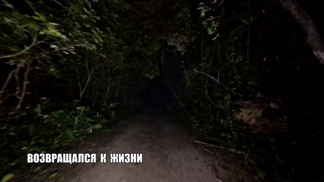 КАРАОКЕ. К.В.Глюк. Мелодия