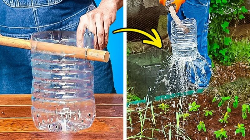 ИДЕИ ВЫРАЩИВАНИЯ РАСТЕНИЙ СВОИМИ СОВЕТЫ ПО САДОВОДСТВУ