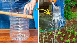 ИДЕИ ВЫРАЩИВАНИЯ РАСТЕНИЙ СВОИМИ СОВЕТЫ ПО САДОВОДСТВУ