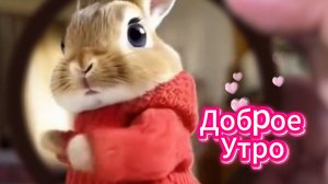 Доброе утро суббота: музыкальная открытка и пожелания | Домохозяйка Ната