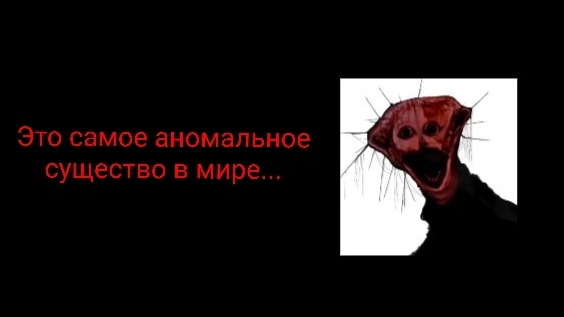 Это самое аномальное существо... | PHEN_228