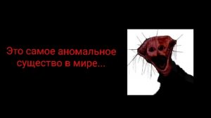 Это самое аномальное существо... | PHEN_228