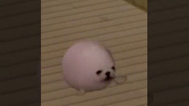 интересно сколько это наберёт?