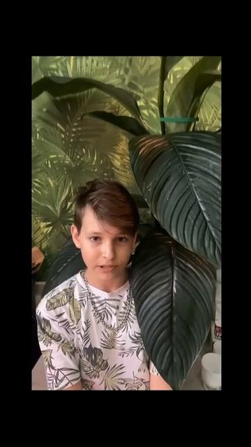 🪴Цветочные новости🪴