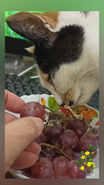 Россия.Сибирь. Ангарск. 18.04.2026г. 🥰🥰🥰 Они для нас СТРАНИЦА В ЖИЗНИ, а мы для них ВСЯ ЖИЗНЬ!