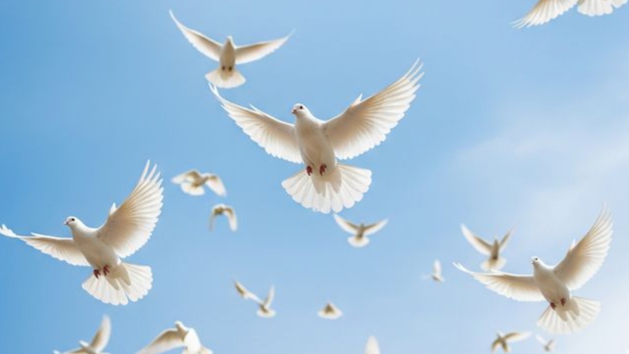 Бог дал птицам крылья