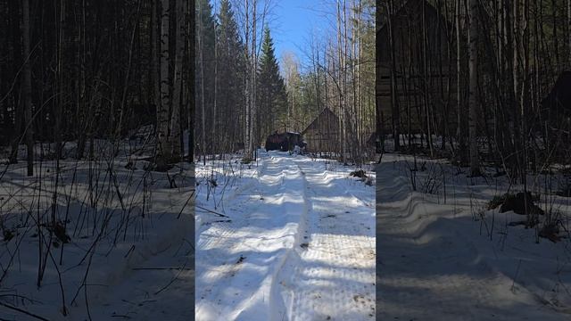 Отвод и таксация лесосек Пермский край!