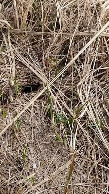 Весенний град #град #весна