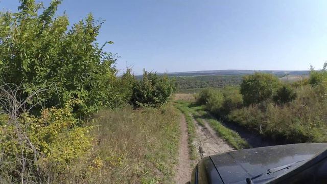 Пора домой 2019