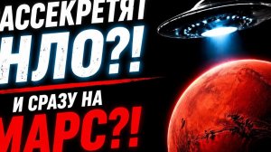 В Польше раскрыли сеть украинцев, помогающим  нелегальному пребыванию в стране. #новости #украина