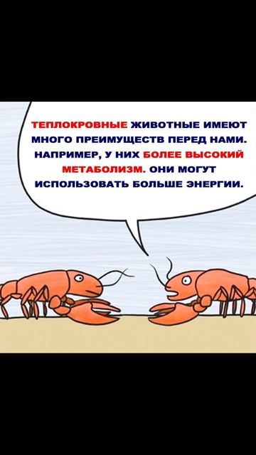 Лютые приколы. Атака фигурами