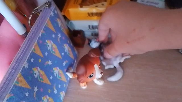 испортили ковёр