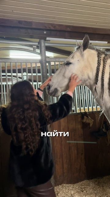 Где спрятаться от стресса? Ответ - на ранчо 