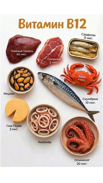 В чём больше витамина В-12 🤗