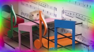 Приключение отважного хомячка, побег из лабиринта! часть 6