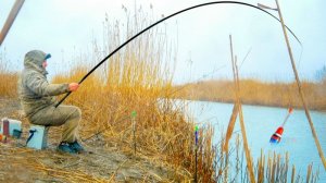 ЗАКИНУЛ ПОПЛАВОК ВОЗЛЕ КАМЫША А ИХ ТАМ ТЬМА!окунь