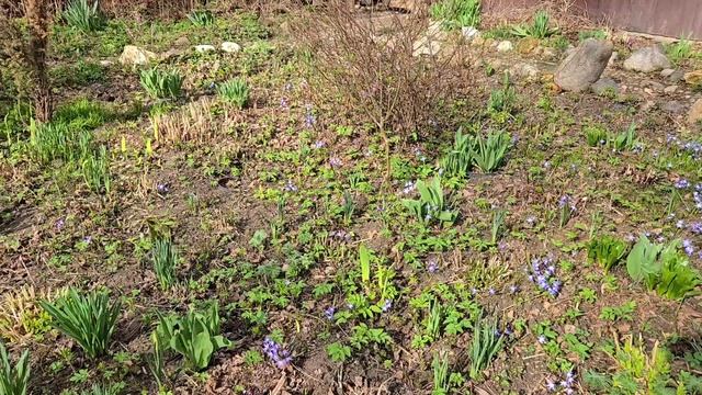 Тревожное утро, внезапное солнце и прогулка налегке