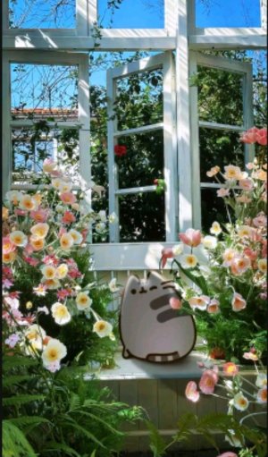 Прятки часть 2