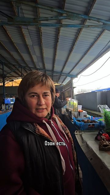 есть ли  wildberries и ozon в Донецке?