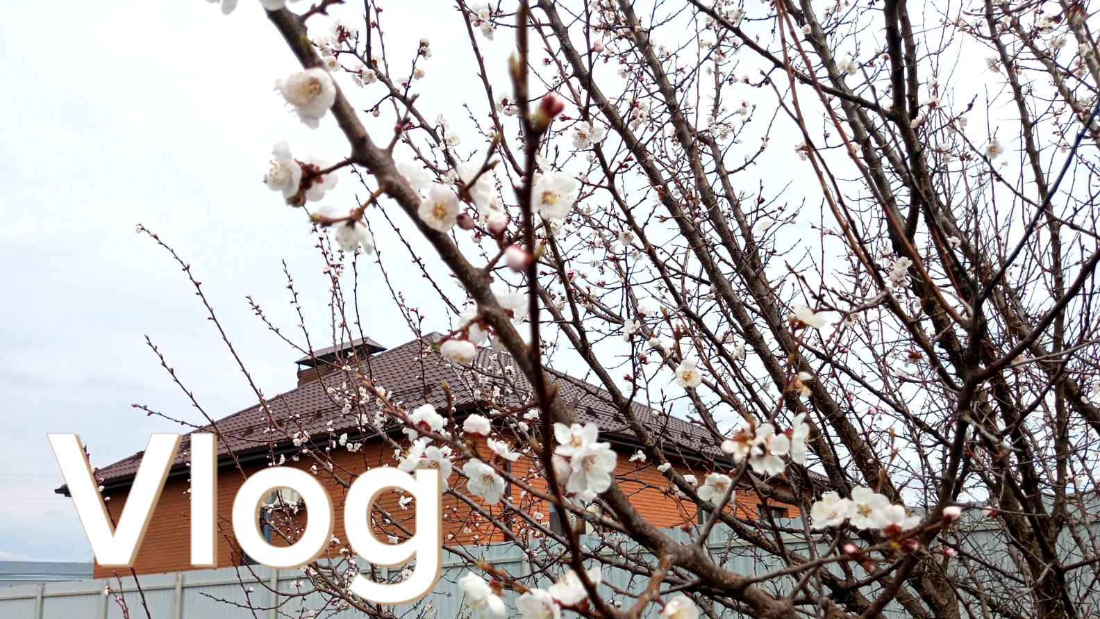 ДОМАШНИЕ ЗАБОТЫ 🤗/ГОТОВЛЮ РУБЛЕНЫЕ КОТЛЕТЫ/СИДИМ БЕЗ СВЕТА 🙈