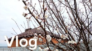 ДОМАШНИЕ ЗАБОТЫ 🤗/ГОТОВЛЮ РУБЛЕНЫЕ КОТЛЕТЫ/СИДИМ БЕЗ СВЕТА 🙈