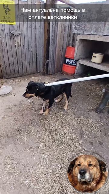 БИЛЛИ СОБИРАЕТСЯ В КЛИНИКУ