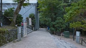 Япония .Нара, пешеходная экскурсия по городу