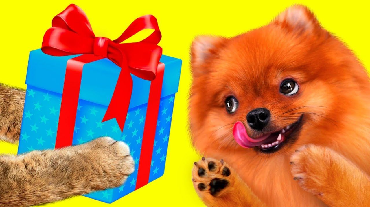 КисКис: Пёсик в шоке от новых игрушек и сюрпризов! 🎉🐶