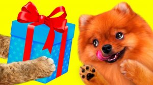 КисКис: Пёсик в шоке от новых игрушек и сюрпризов! 🎉🐶