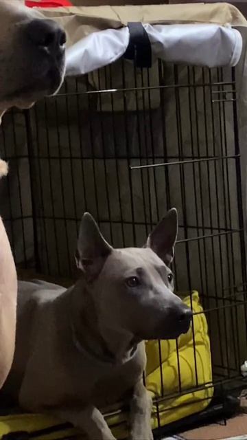 Пора подкрепиться!