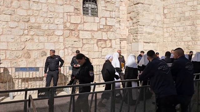 Сестёр Александровского подворья группой сопровождает в Храм полиция - Схождение Благодатного Огня