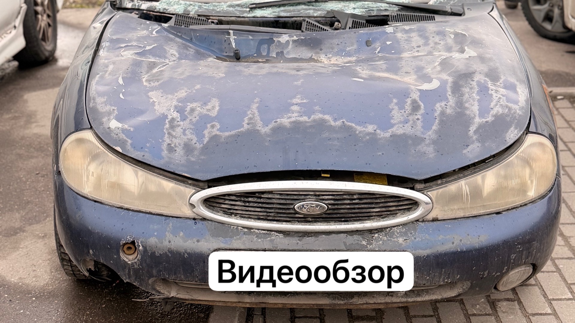 Ford Mondeo видеообзор