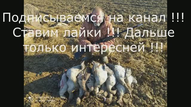 ОХОТА НА ГУСЯ, АДРЕНАЛИНОВАЯ