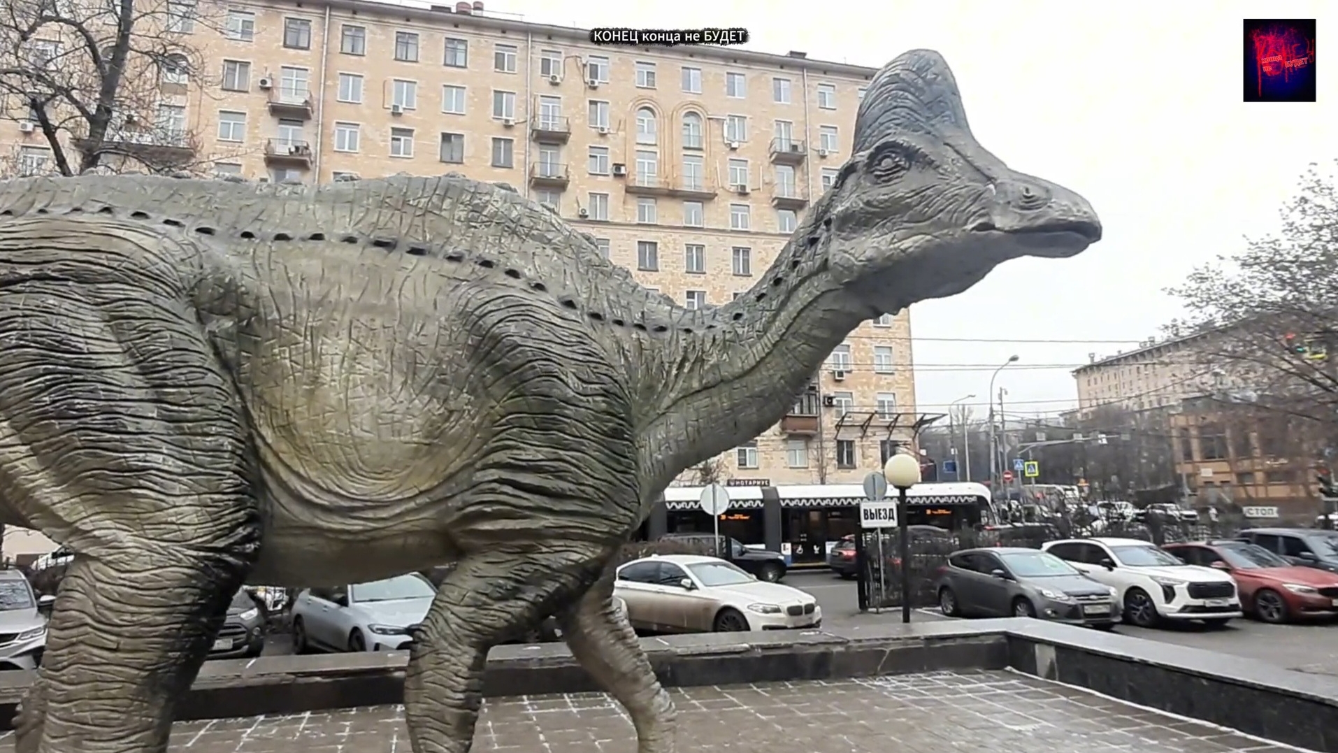 Москва. Дарвиновский музей. Декабрь 2025.