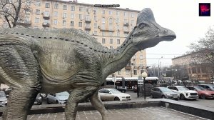 Москва. Дарвиновский музей. Декабрь 2025.