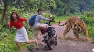 Невероятные встречи людей и животных.