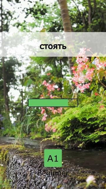  Раунд 1: Битва за словарный запас A1 02 May 2026