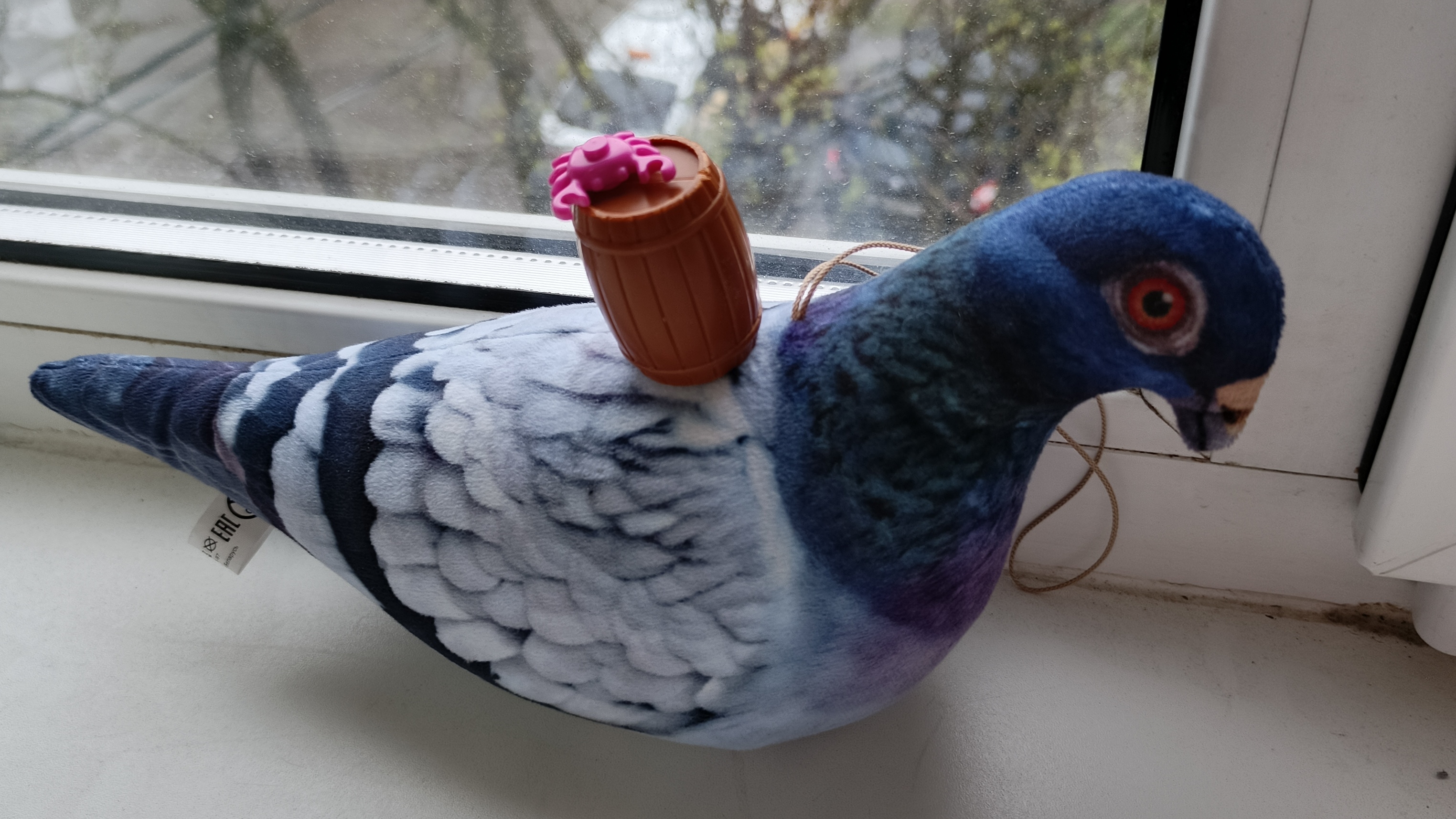 я провожу конкурс