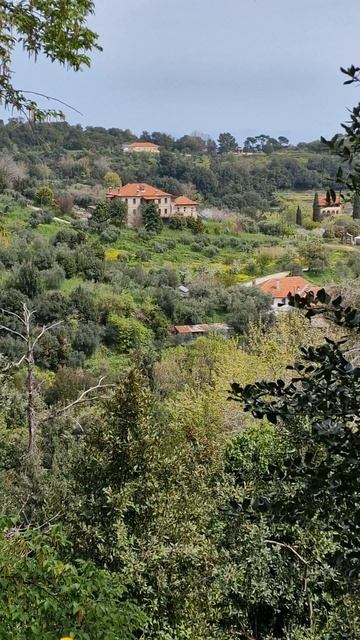 Келья на Афоне.