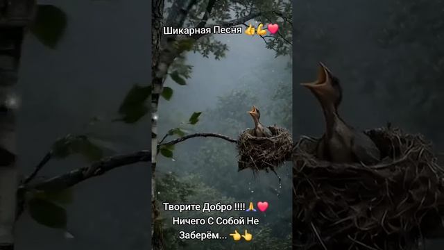 Творите добро