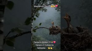 Творите добро